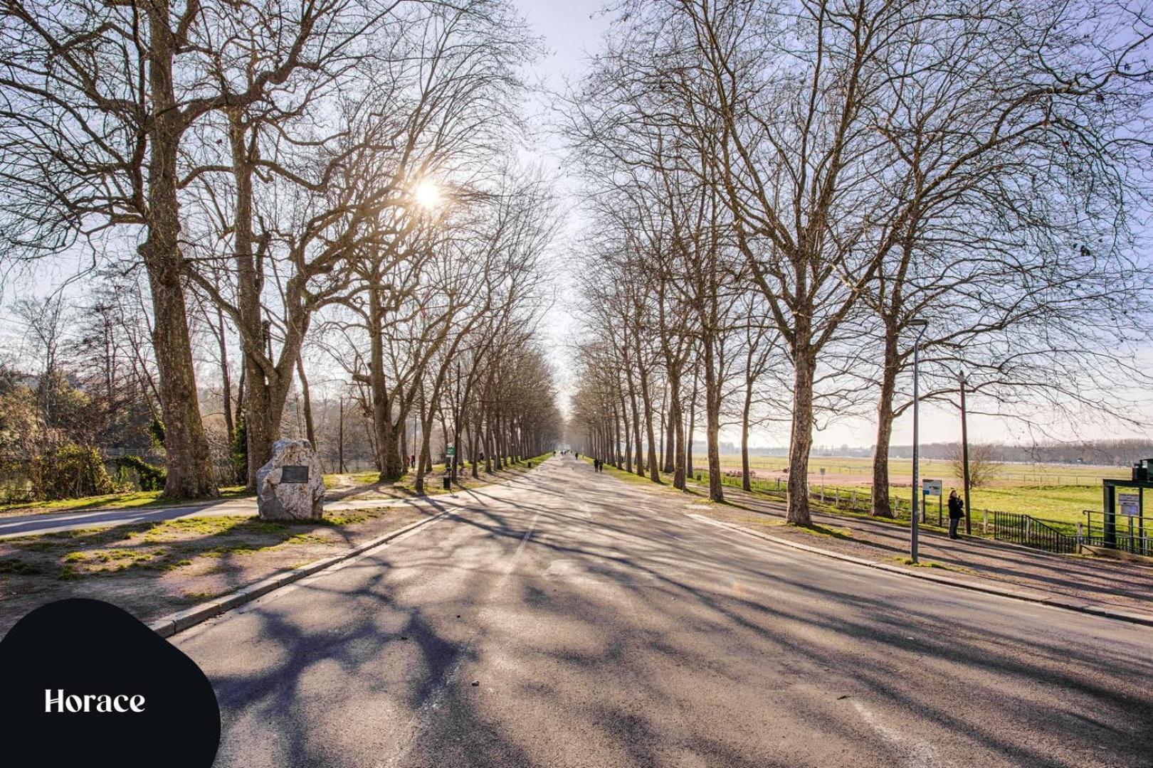 Le City - Parking And Comfort In The City Centre كان المظهر الخارجي الصورة